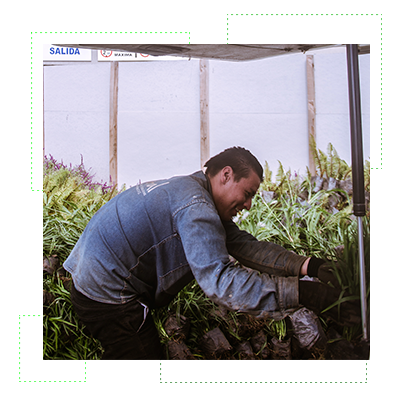 colaboradores en pegado de membrana