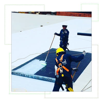 colaboradores con membrana