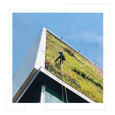 colaboradores con membrana