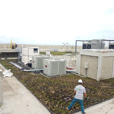 muro verde atlantica