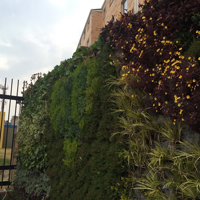 muro verde soacha