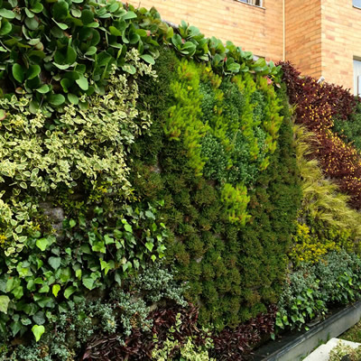 muro verde soacha
