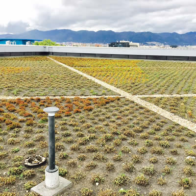 cubierta verde conecta