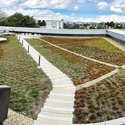 cubierta verde conecta