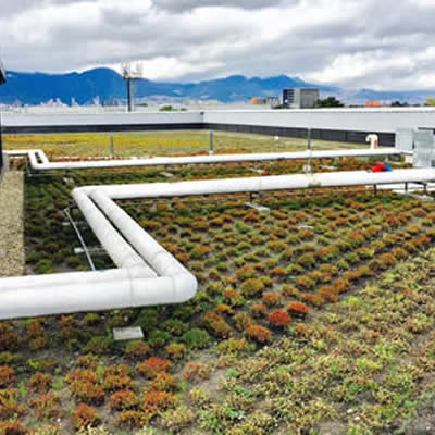 cubierta verde conecta