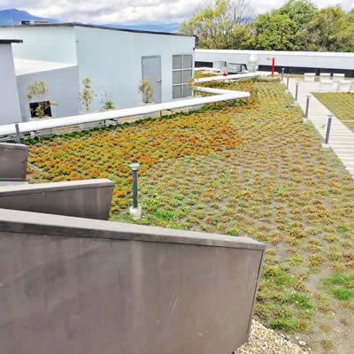 cubierta verde conecta