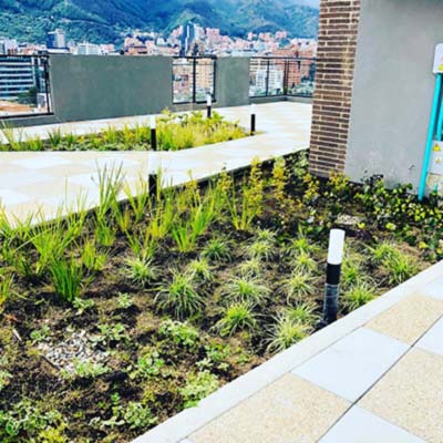 paisajismo essena park