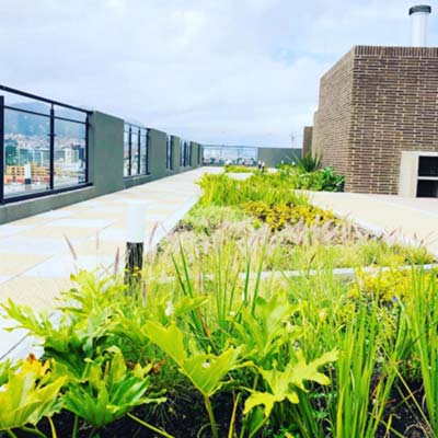 paisajismo essena park