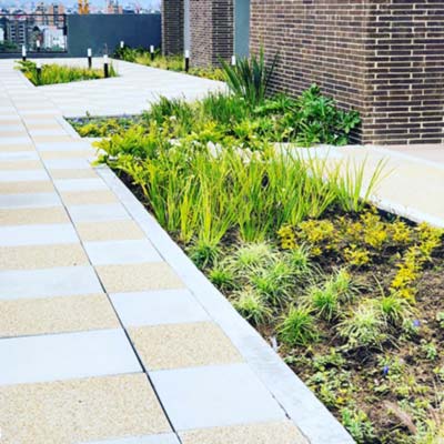 paisajismo essena park