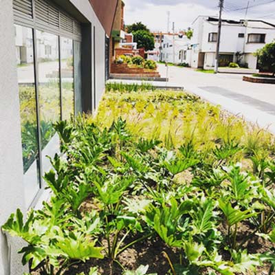 paisajismo essena park