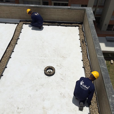 cubierta verde gutemberg