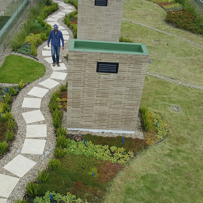 cubierta verde gutemberg