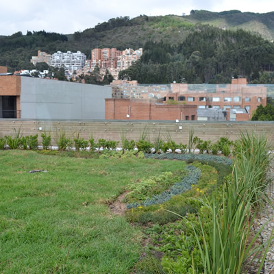 cubierta verde gutemberg