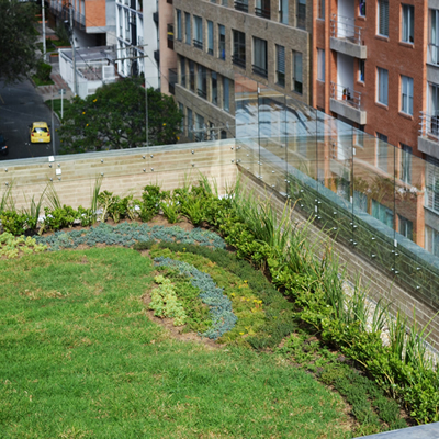 cubierta verde gutemberg