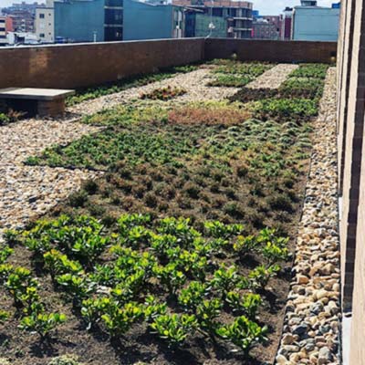 Paisajismo Hotel Hyatt