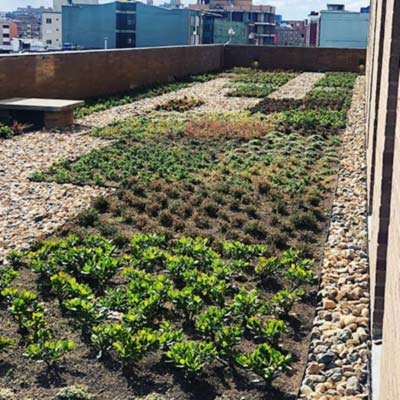 Paisajismo Hotel Hyatt