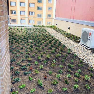 Paisajismo Hotel Hyatt