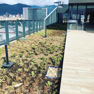 Paisajismo Hotel Hyatt