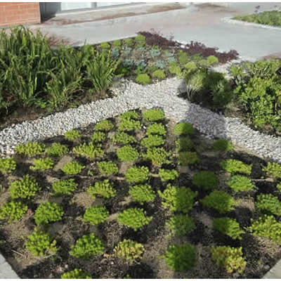 cubierta verde kepler