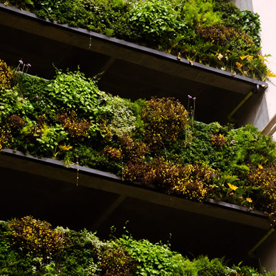 muros verdes maz espacios