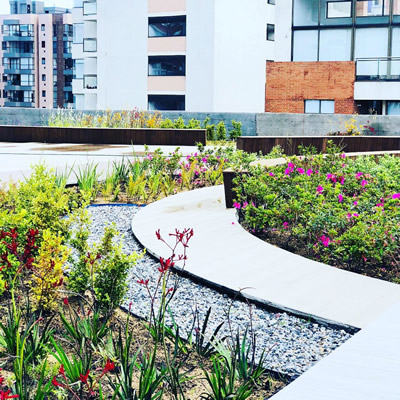 muros verdes maz espacios