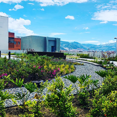 muros verdes maz espacios