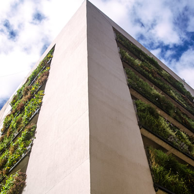 muros verdes maz espacios