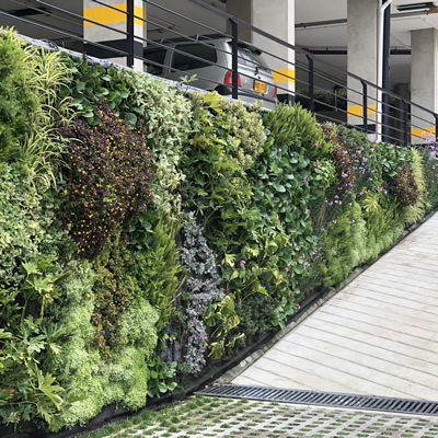 muro verde montebelo